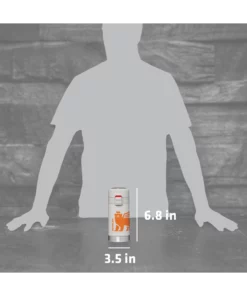 Buy ⌛ Stanley The Wild Imagination Flowsteady™ Bear Cub Bottle | 12 OZ ???? 14 Buy ⌛ Stanley The Wild Imagination Flowsteady™ Bear Cub Bottle | 12 OZ ???? -Sweese Elegant Shop B2B Web PNG The FlowSteady Bear Cub Bottle 12oz Ash PT05