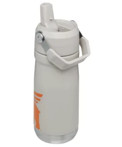 Flash Sale ???? Stanley The Wild Imagination IceFlow™ Flip Straw Water Bottle | 17 OZ ???? -Sweese Elegant Shop B2B Web PNG The IceFlow Flip Straw Water Bottle 17oz Ash Hero Back