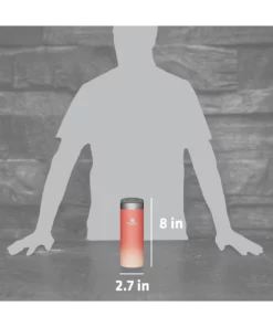 Top 10 ⌛ Stanley The AeroLight™ Transit Bottle | 12 OZ ???? 15 Top 10 ⌛ Stanley The AeroLight™ Transit Bottle | 12 OZ ???? -Sweese Elegant Shop B2B Web PNG TheAeroLightTransitBottle16ozGrapefruit PT04 1 29e584a7 be0b 480c 959f fb30d2286800