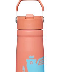 Flash Sale ???? Stanley The Wild Imagination IceFlow™ Flip Straw Water Bottle | 17 OZ ????